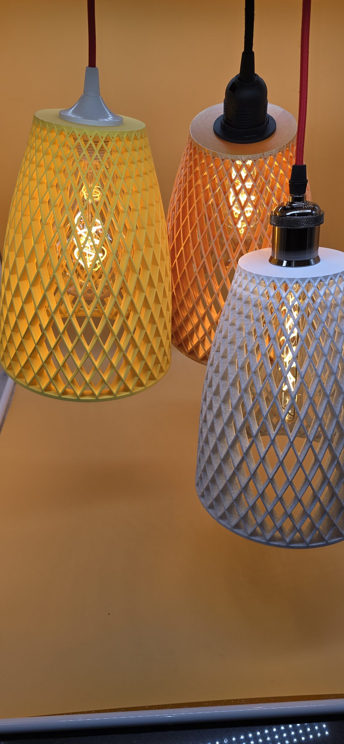 Coral Bloom v1.0 - Image 4